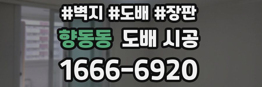 향동동 도배 시공