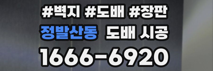 정발산동 도배 시공