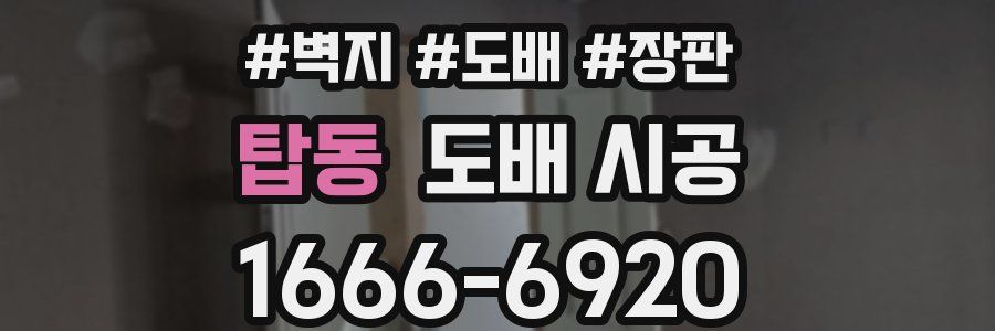 탑동 도배 시공
