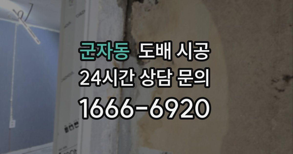 군자동 도배 시공