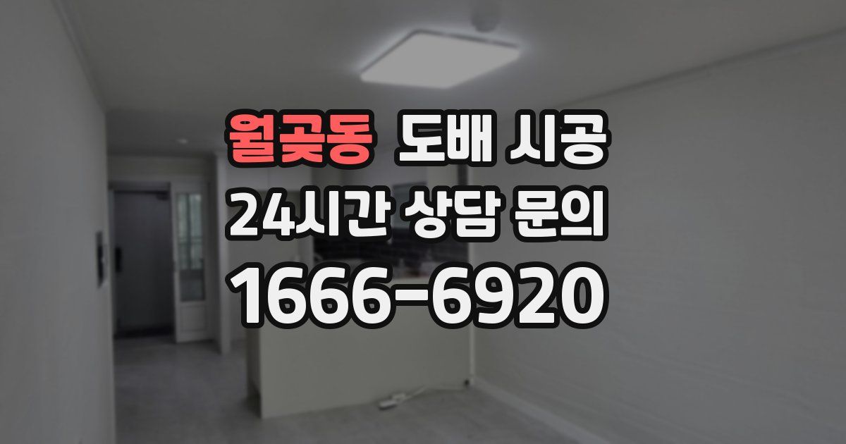 월곶동 도배 시공