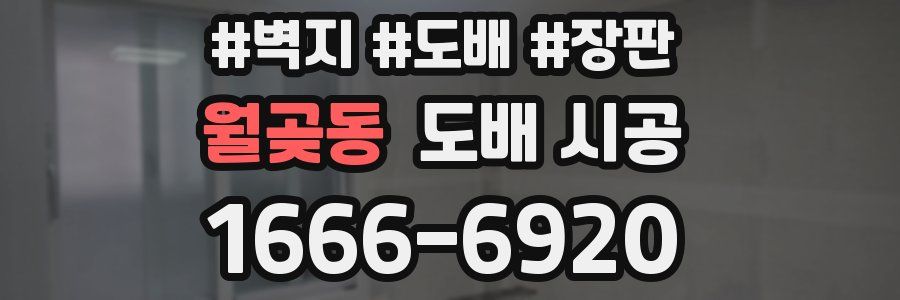월곶동 도배 시공