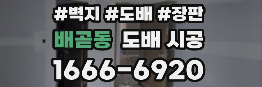 배곧동 도배 시공