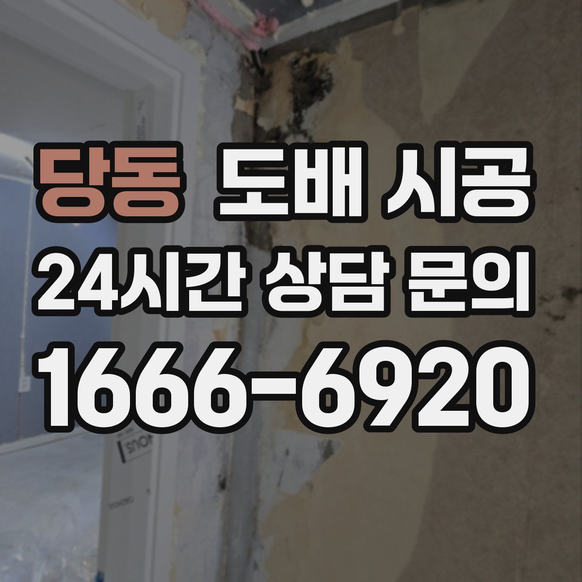 당동 도배 시공