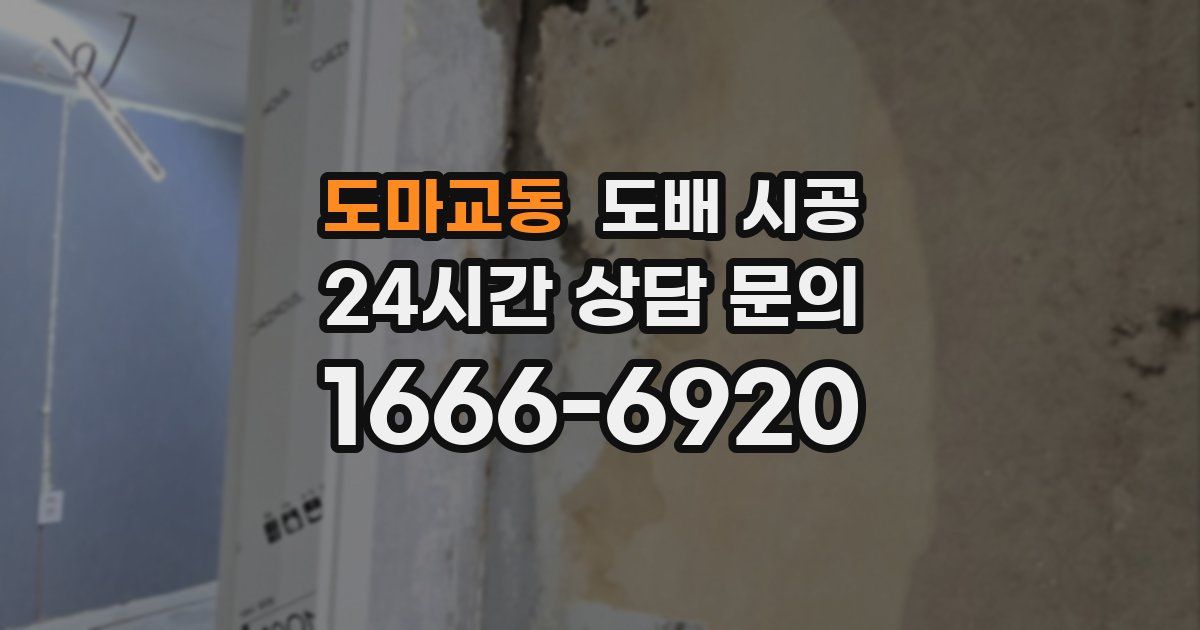 도마교동 도배 시공