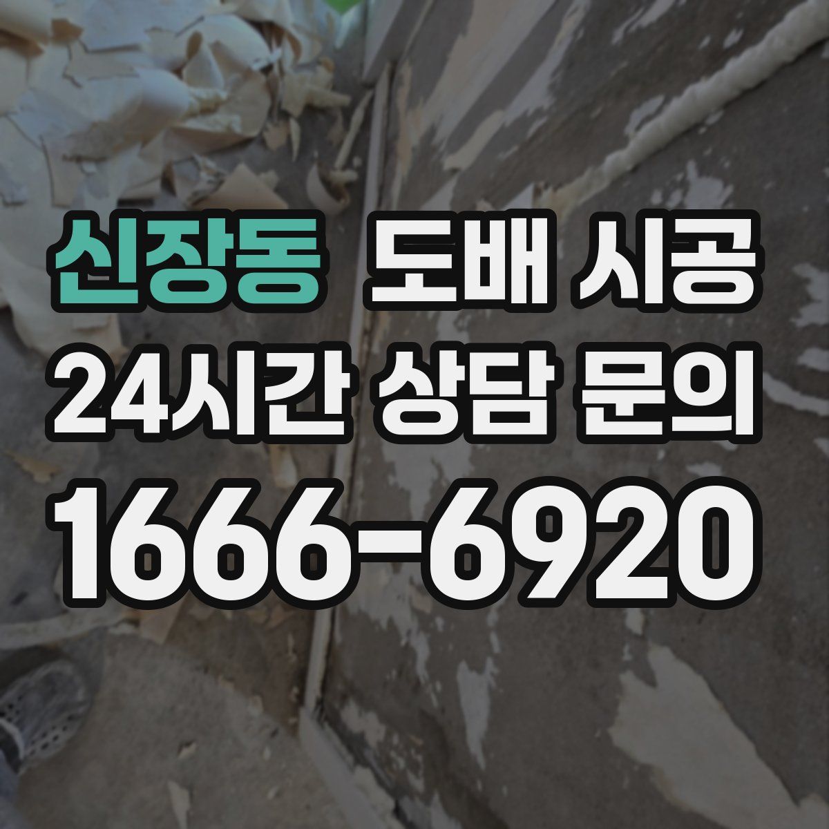 신장동 도배 시공