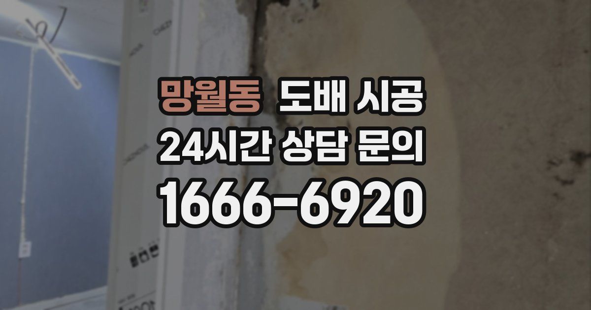 망월동 도배 시공