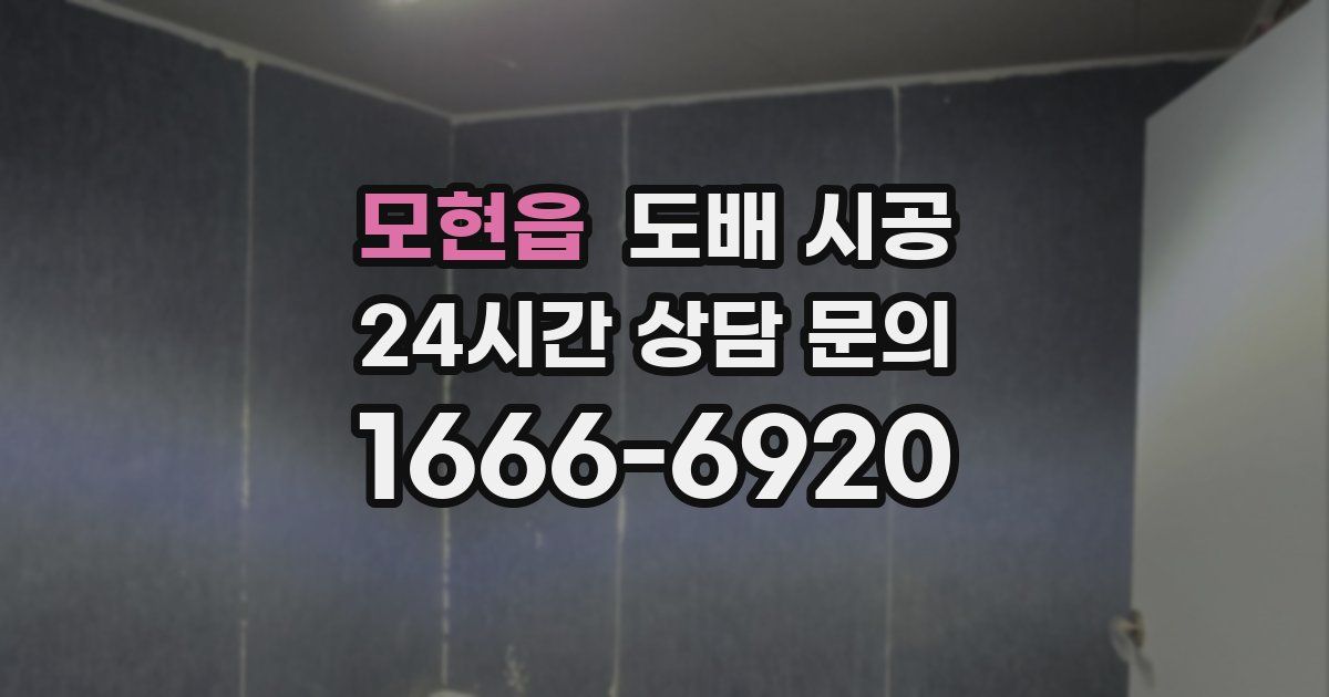 모현읍 도배 시공
