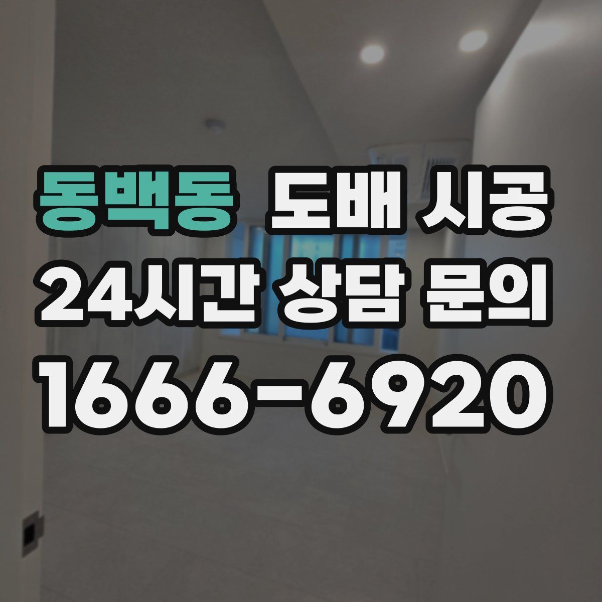 동백동 도배 시공