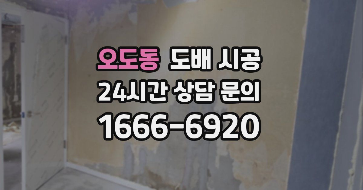 오도동 도배 시공