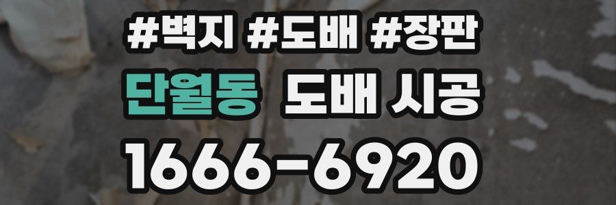 단월동 도배 시공