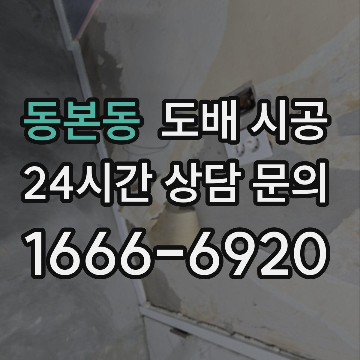 동본동 도배 시공