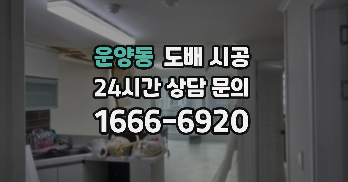 운양동 도배 시공