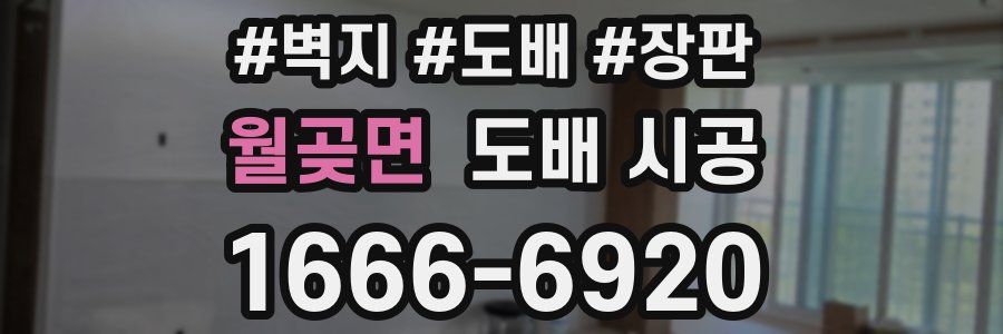 월곶면 도배 시공