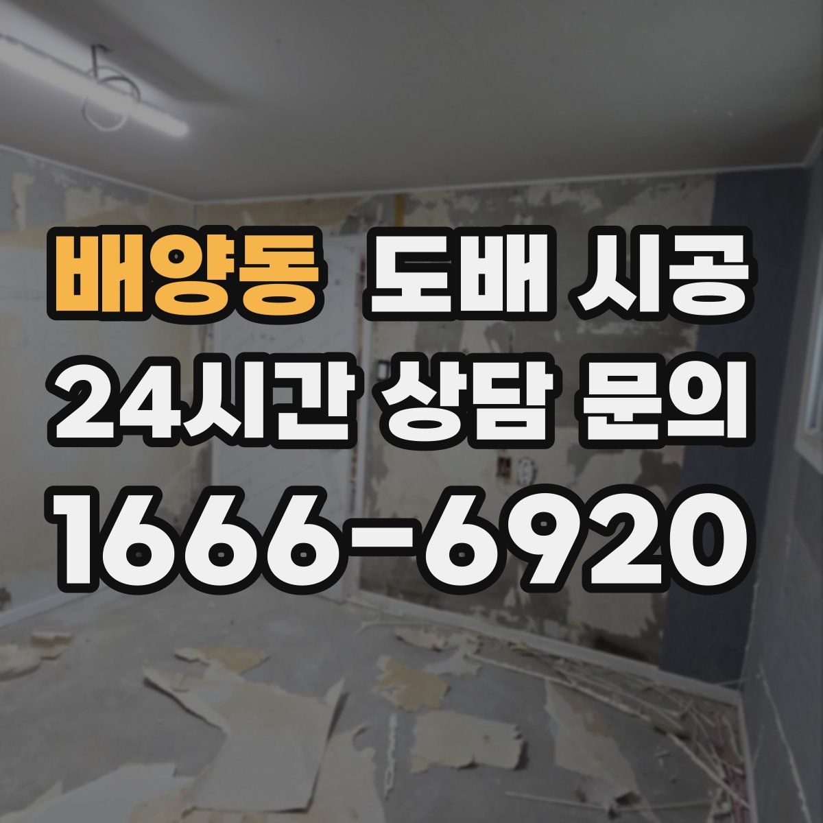 배양동 도배 시공