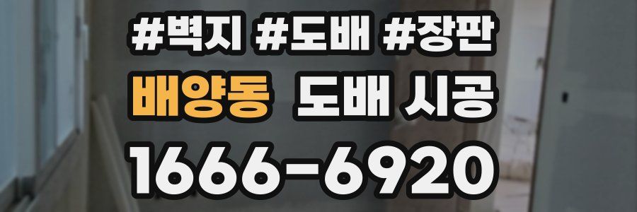 배양동 도배 시공