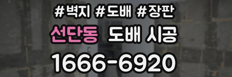 선단동 도배 시공