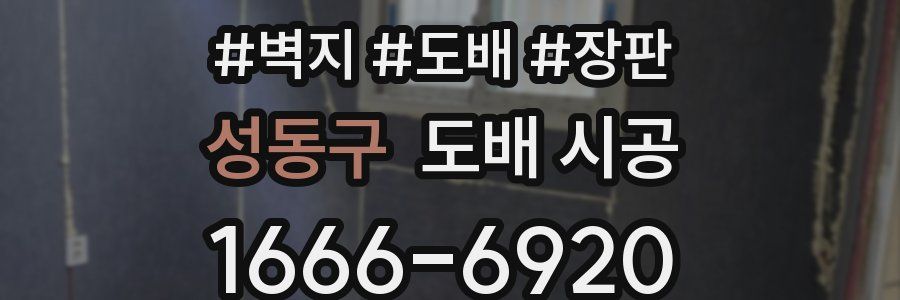 성동구 도배 시공