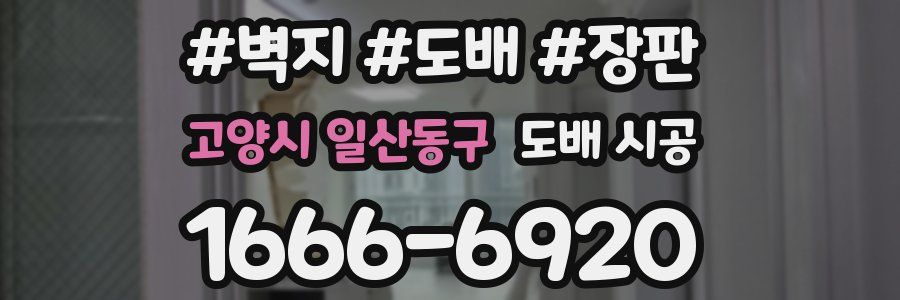 고양시 일산동구 도배 시공