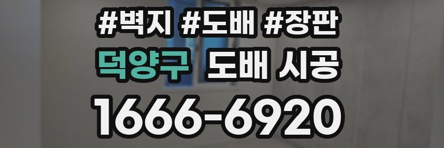덕양구 도배 시공