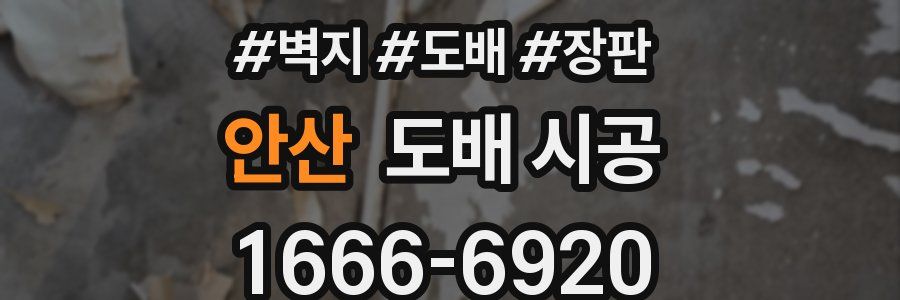 안산 도배 시공