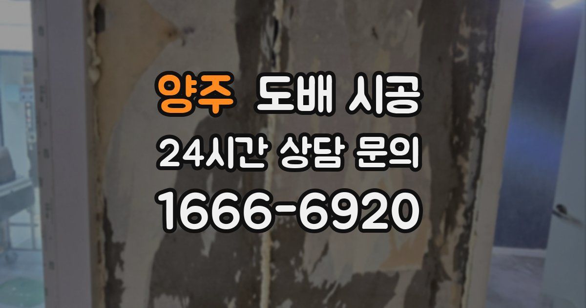 양주 도배 시공