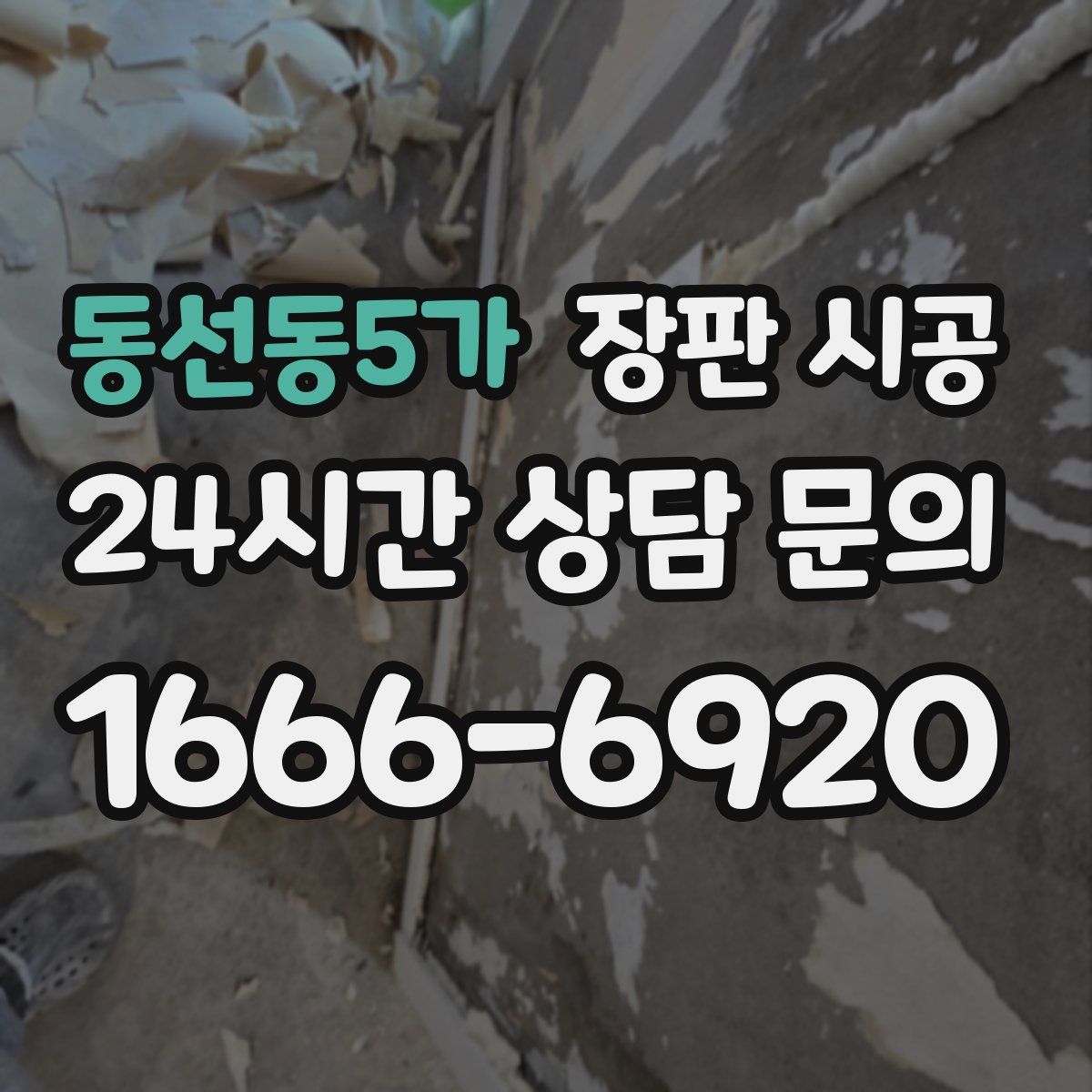 동선동5가 장판 시공