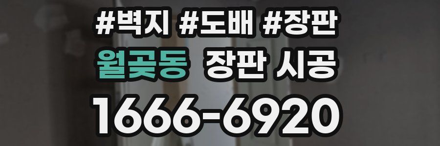 월곶동 장판 시공