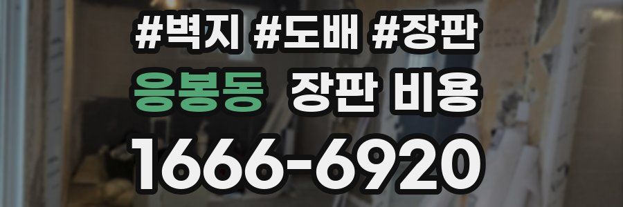 응봉동 장판 비용