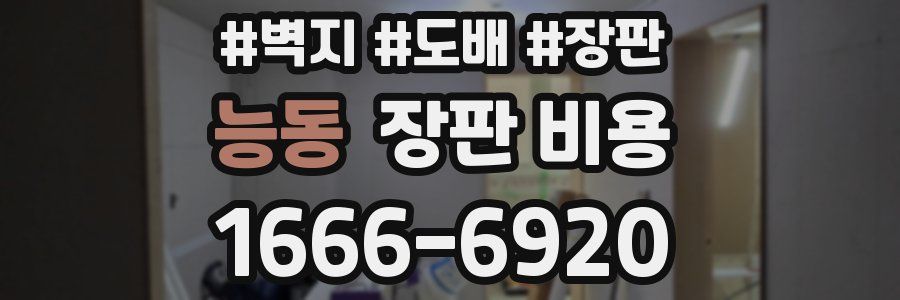 능동 장판 비용