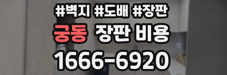 궁동 장판 비용