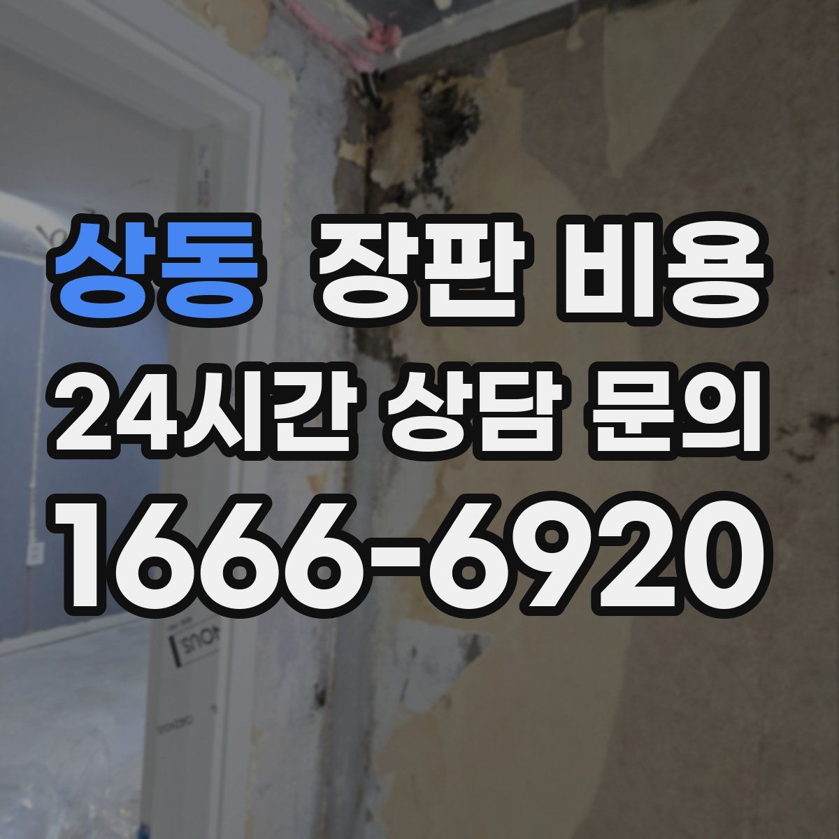 상동 장판 비용