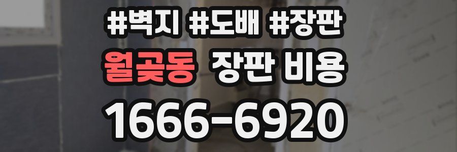 월곶동 장판 비용