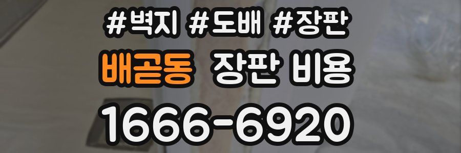 배곧동 장판 비용