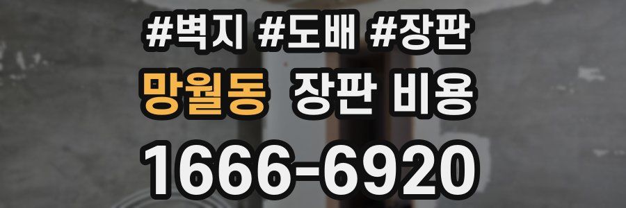 망월동 장판 비용