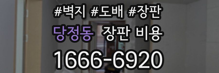 당정동 장판 비용