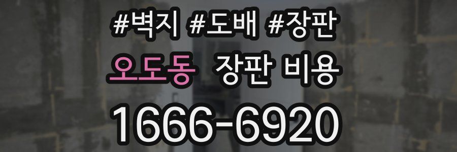 오도동 장판 비용
