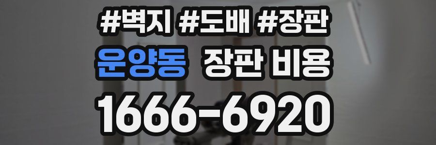 운양동 장판 비용
