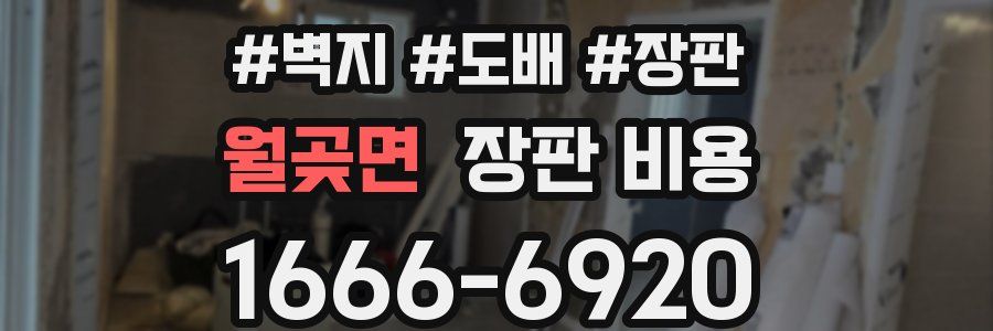 월곶면 장판 비용