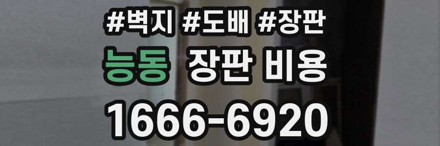 능동 장판 비용