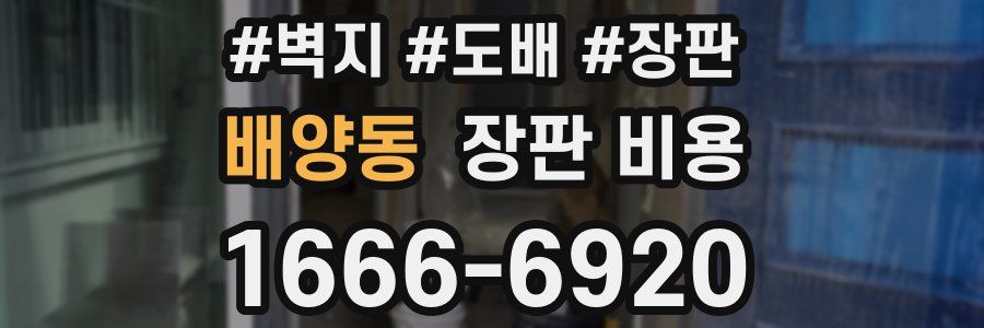 배양동 장판 비용