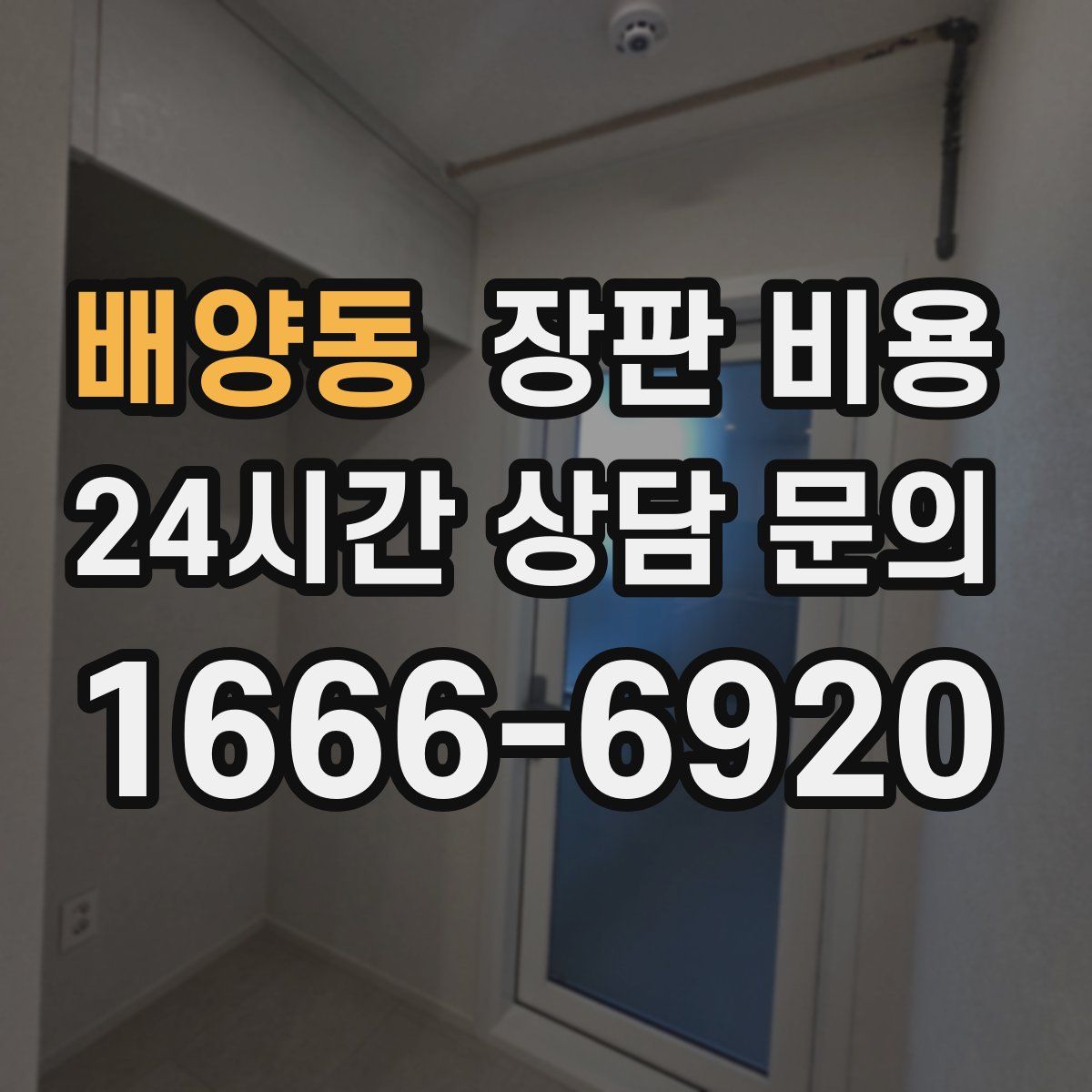 배양동 장판 비용