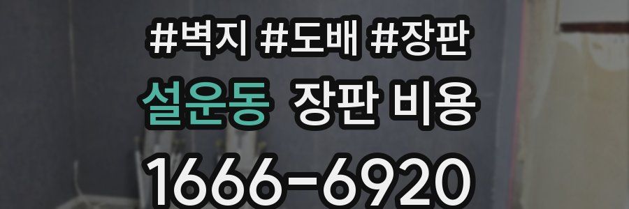 설운동 장판 비용