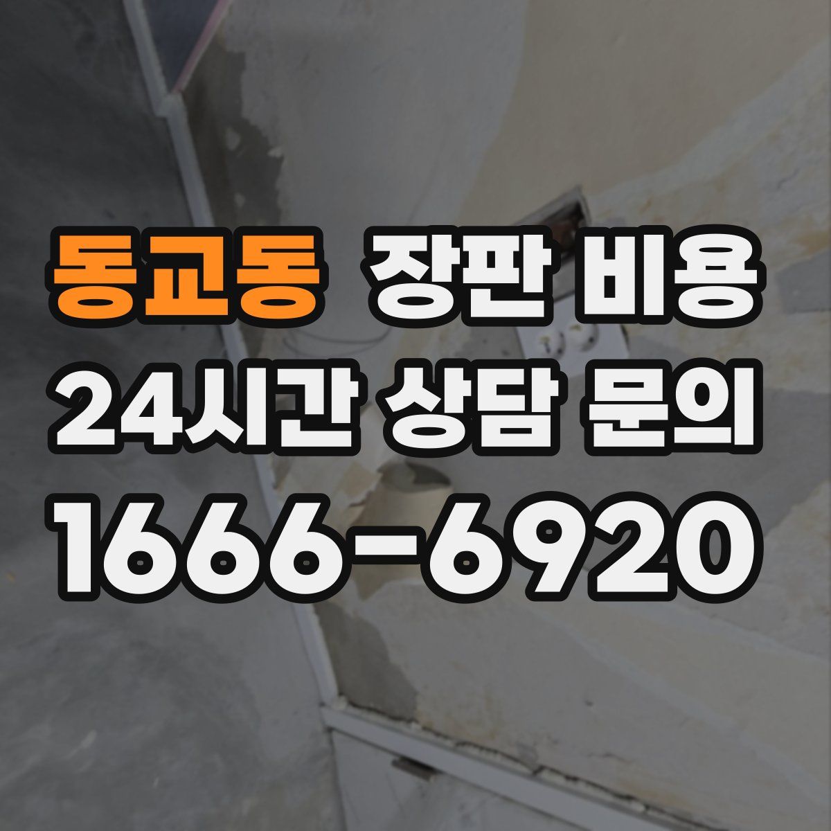 동교동 장판 비용