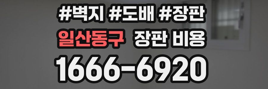 일산동구 장판 비용