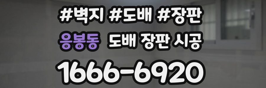 응봉동 도배 장판 시공