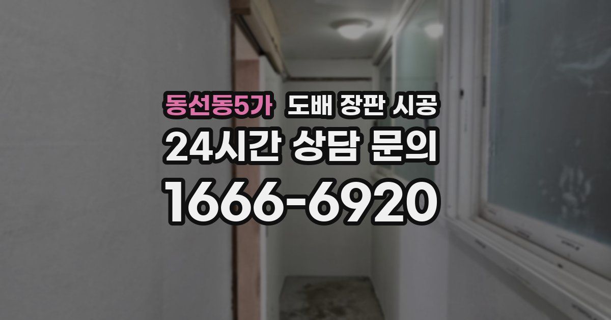 동선동5가 도배 장판 시공