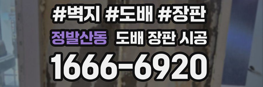 정발산동 도배 장판 시공