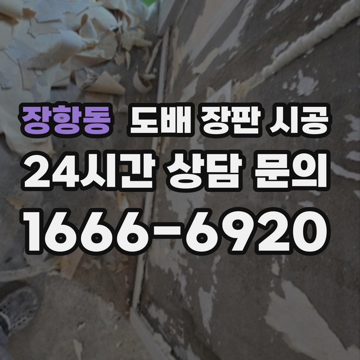 장항동 도배 장판 시공