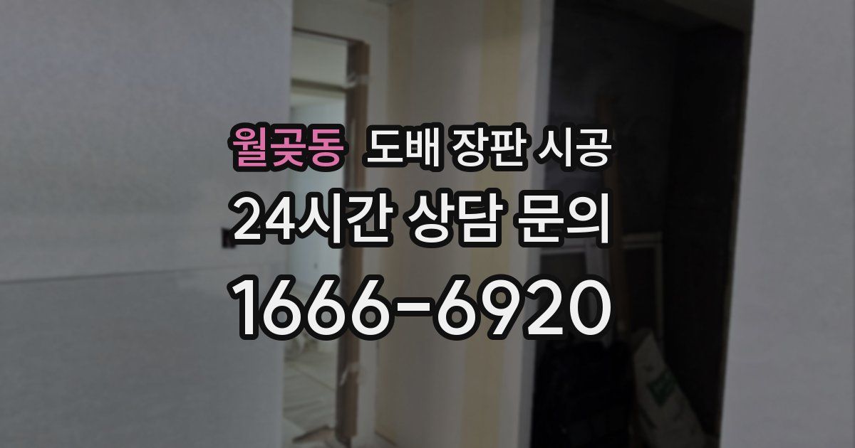 월곶동 도배 장판 시공